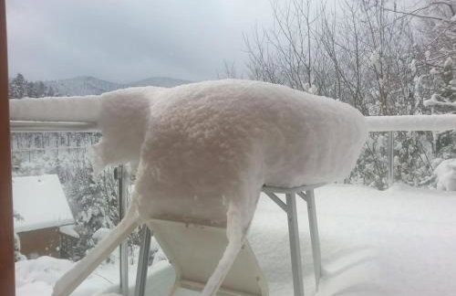 Holiday home in Hornberg with swimming pool - Foto 5