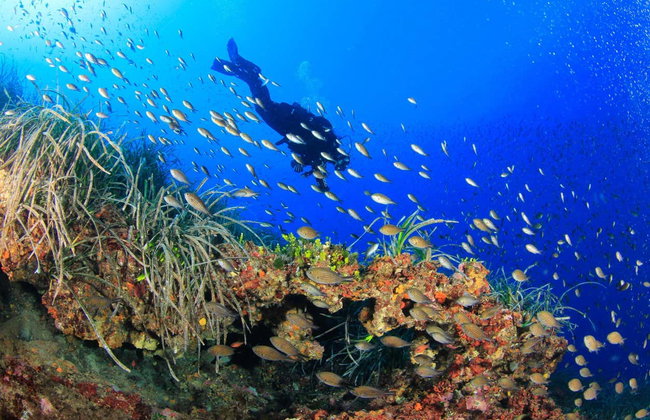 Baptême de plongée à Bosa - Photo 2