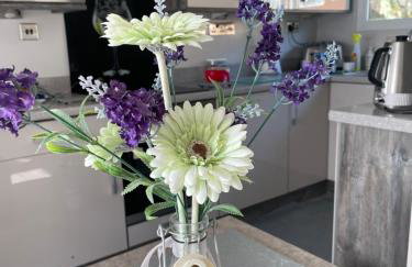 JJs Lodge Holiday Home 14 The Park Bude - Foto 4