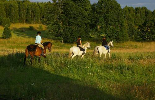 Dworek Słoneczko - Foto 23