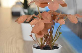 Bryson Home Gigantes - Foto 20