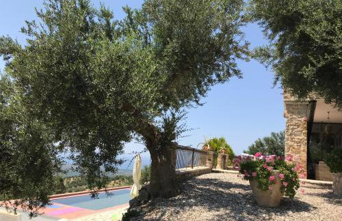 Old Olive house - Foto 30