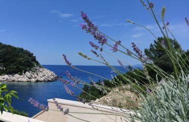 Apartmani Lešić Zaklopatica - Foto 18