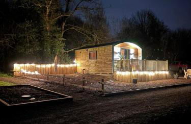 'Cosy Gem' Cabin Woodland Retreat Randalstown NI - Foto 19