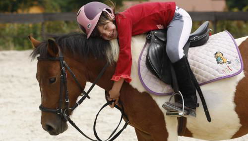 SAS Le Hameau des Grilles - Foto 5