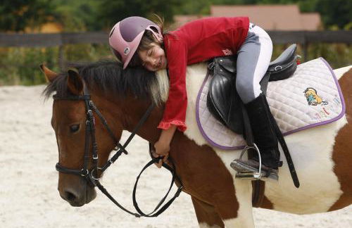 SAS Le Hameau des Grilles - Foto 5