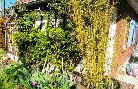 La Longère d'Auberville - Photo 9