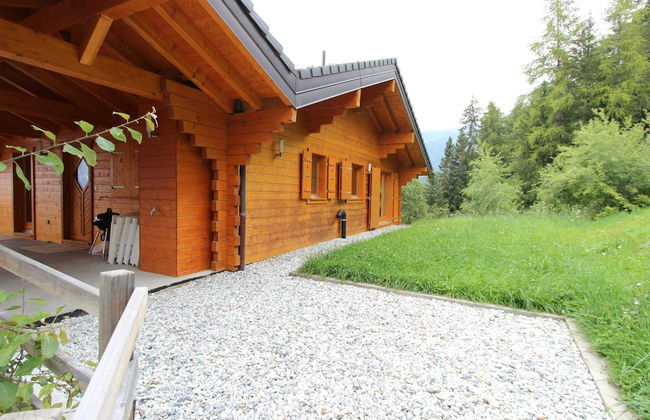 Chalet in Alps Near Ski Lift and Sauna - Photo 28