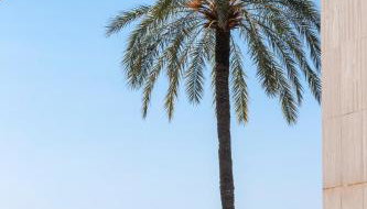 2 Pièces Bord de Mer avec Jardin - Foto 3, Garden, Garden view