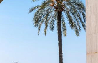2 Pièces Bord de Mer avec Jardin - Foto 3