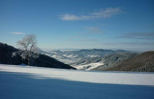 Ramsteinerhof - Foto 20