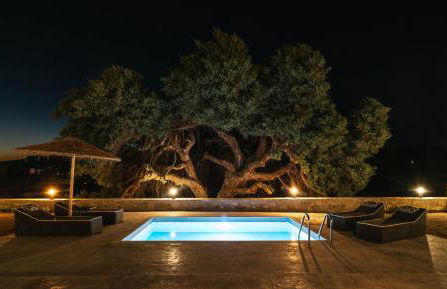 Kedros Katikies - Photo 22