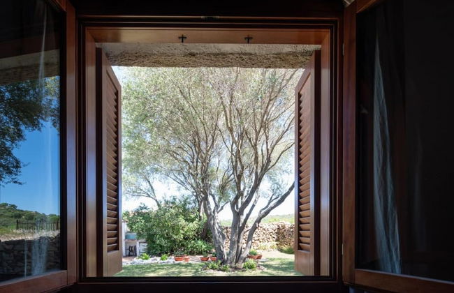 Welcomely - Mediterranea - Foto 10