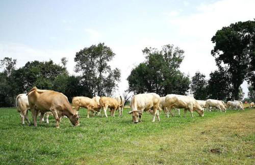 Gîte à la Ferme de la Bouriette - Foto 3
