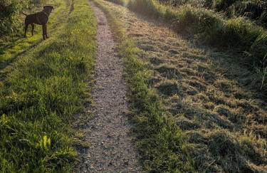 Deichliebe ÖKOlogisch - Foto 17