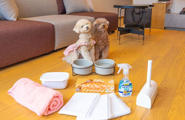 Rakuten STAY VILLA Yatsugatake - Foto 56