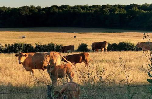 Holiday Home Landhaus mit eingezäuntem Garten by Interhome - Foto 21