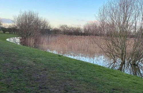 15th Century Thatched Cottage - Foto 28