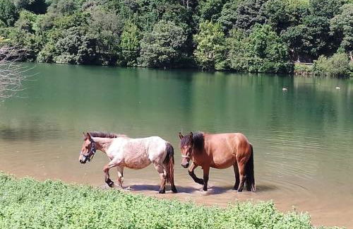 PequeñoCabárceno - Foto 24