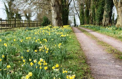 Country House La Feronnière - Foto 17