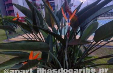 Apto Cond Ilhas do Caribe - Pr - Beira Mar - Foto 40