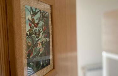 Maistraren Etxea EVI00179 - Foto 9