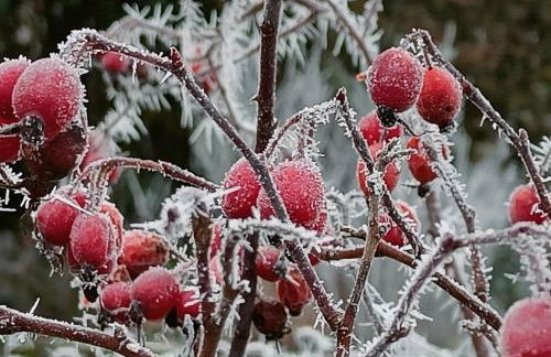 The DunnitManor Farm - Foto 57