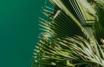 Breezy Sport House Chalé Ravenala - Photo 10