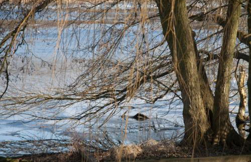 Villa Weißensee - Foto 47