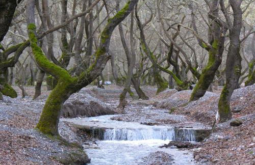 Villa Maria - Foto 39