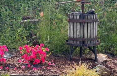 Cachada Turhouse - Foto 17