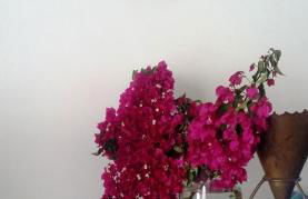 Oltremare Residence Hotel - Foto 37