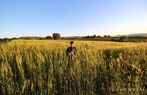 Agriturismo Essentia dimora rurale - Foto 55