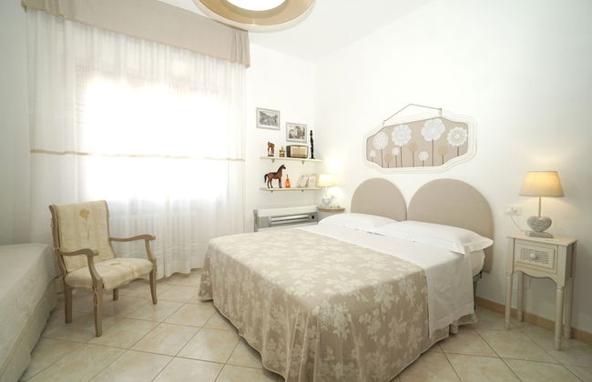 La Mimosa - Photo 11