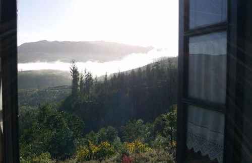 T3 Quinta da Melroa - Mountain Villa - Caramulo - Photo 21