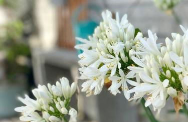 Top modernes Appartement mit Blick ins Grüne - Foto 27