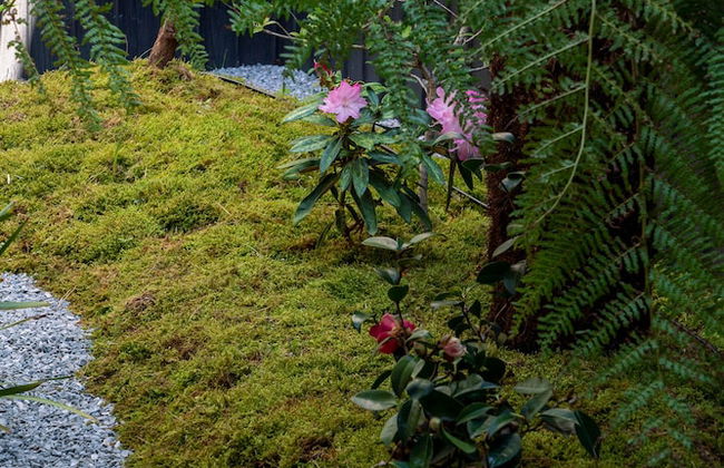 Hanatsume Machiya Holiday House - Photo 17