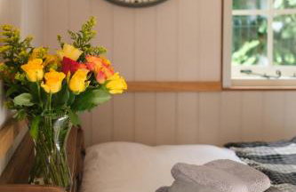Piano Forte - a delightful rural shepherd hut & hot tub available ! - Foto 23