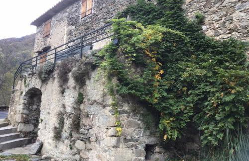 Mas Graffouil - Foto 62