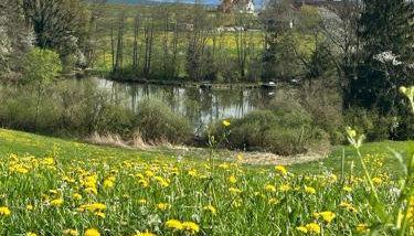 Ferienwohnung Rupp Bergblick & private Sauna - Foto 3