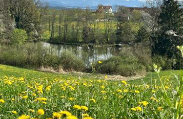 Ferienwohnung Rupp Bergblick & private Sauna - Photo 3