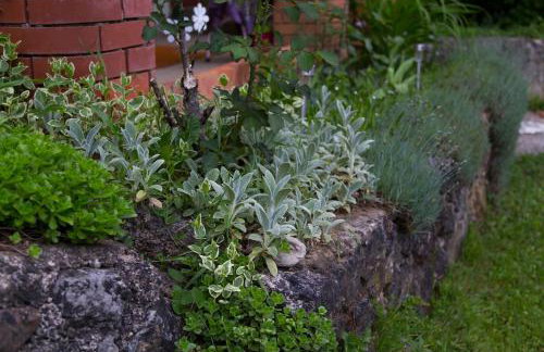 Holiday Home Ille - Foto 8