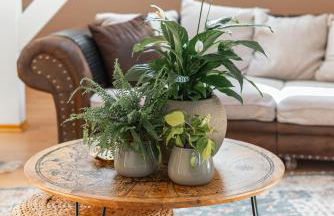 La Casa Bonita - Foto 42