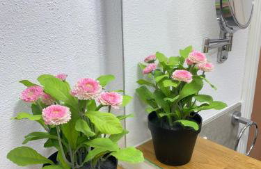 Motel Q- das kleine Stadthotel - Foto 60