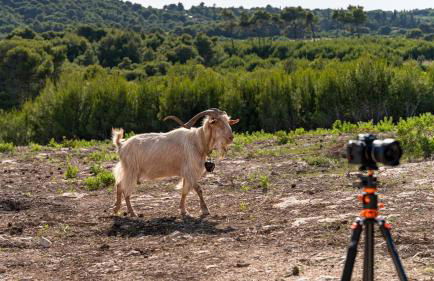 Zante Hidden Hills - Photo 34