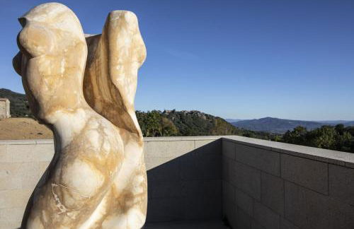 Azienda Meleta - Foto 57