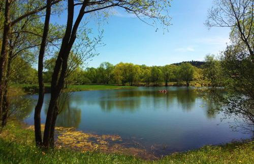 Zacisze nad sanem - Foto 6