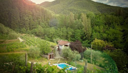 MULINO VECCHIO - Foto 2, Garden