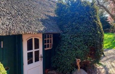 1100 - Reetdachhaus in Grube - Foto 36