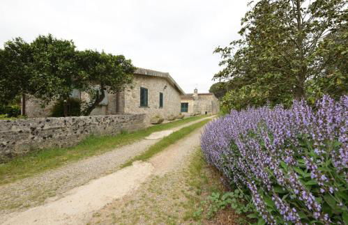 Villa Sicaminea by BarbarHouse - Foto 12